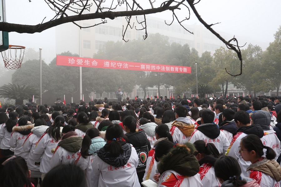 1553594251283966.jpg W11A7017.JPG