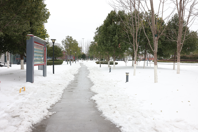 1708912397602272.png 圖片23_副本_副本.png